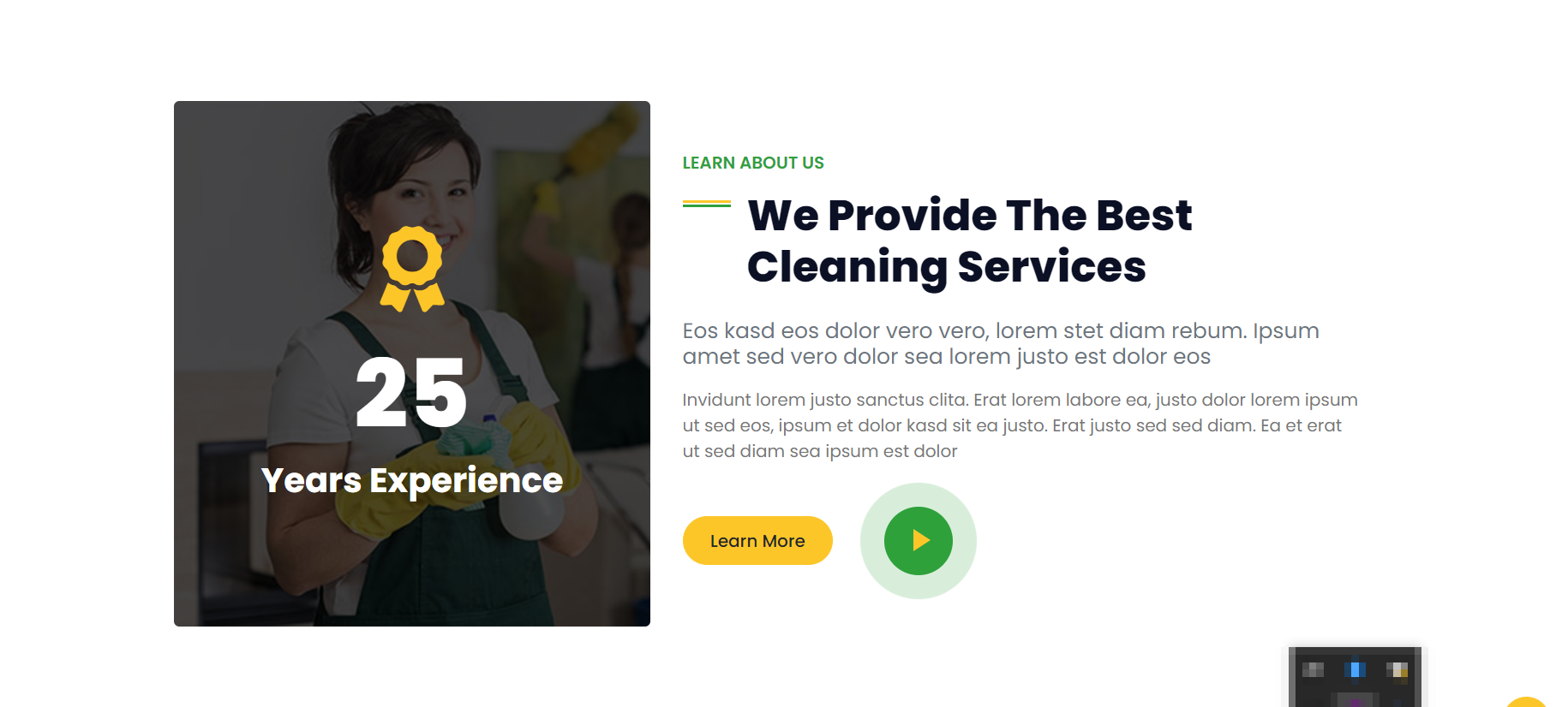 Cleaning Services
